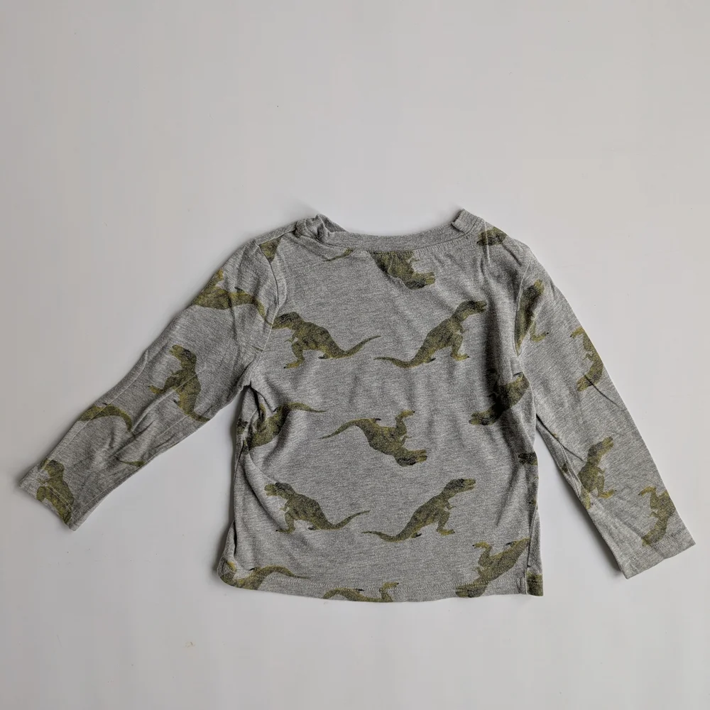 Old Navy Gray Long Sleeve Dinosaur Tee